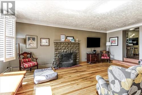 12 Baker Street, Sudbury, ON - Indoor Photo Showing Living Room With Fireplace