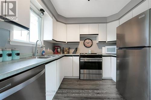 212 Mcguire Beach Road, Kawartha Lakes (Kirkfield), ON - Indoor Photo Showing Kitchen With Double Sink