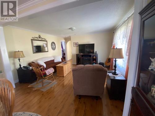 941 Oceanview Drive, Cape St George, NL - Indoor Photo Showing Living Room