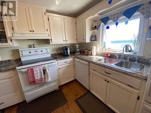 941 Oceanview Drive, Cape St George, NL - Indoor Photo Showing Kitchen With Double Sink