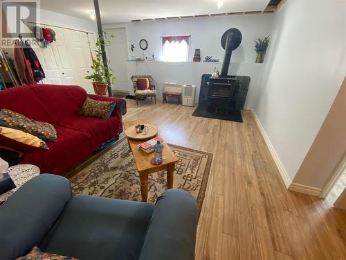 941 Oceanview Drive, Cape St George, NL - Indoor Photo Showing Living Room