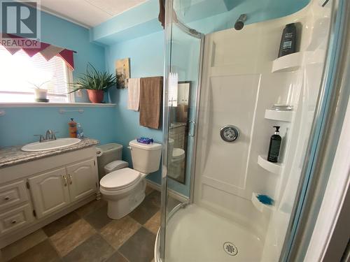 941 Oceanview Drive, Cape St George, NL - Indoor Photo Showing Bathroom