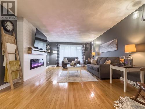 274 Marine Drive, Marystown, NL - Indoor Photo Showing Living Room With Fireplace