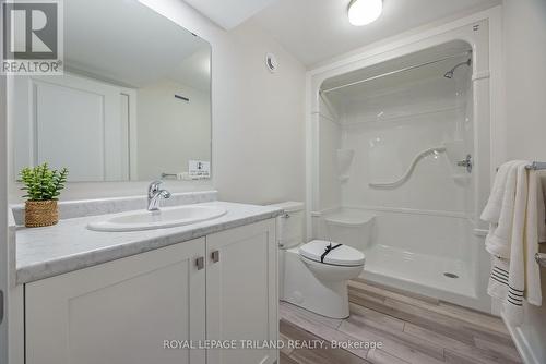 56 Silverleaf Path, St. Thomas, ON - Indoor Photo Showing Bathroom