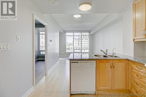 1102 - 100 Hayden Street, Toronto (Church-Yonge Corridor), ON - Indoor Photo Showing Kitchen With Double Sink