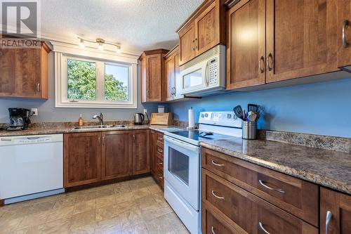 2 Yale Place, Mount Pearl, NL - Indoor Photo Showing Kitchen With Double Sink