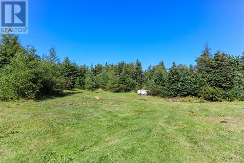 35 Lawlors Road, Paradise, NL - Outdoor