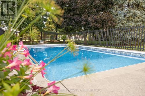 244 Appin Road, Southwest Middlesex (Glencoe), ON - Outdoor With In Ground Pool