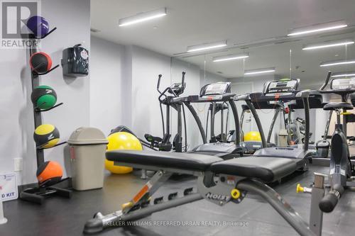 503 - 15 Beverley Street, Toronto (Kensington-Chinatown), ON - Indoor Photo Showing Gym Room