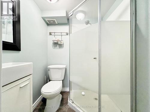 45 Madawaska Avenue S, Toronto (Newtonbrook East), ON - Indoor Photo Showing Bathroom