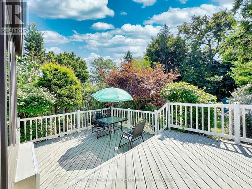 45 Madawaska Avenue S, Toronto (Newtonbrook East), ON - Outdoor With Deck Patio Veranda