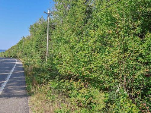 Lot 05-2 Highway 3, East River, NS 