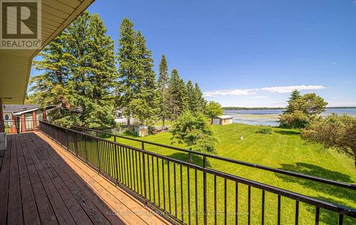 41 Newman Road, Kawartha Lakes, ON - Outdoor With View