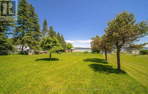 41 Newman Road, Kawartha Lakes, ON - Outdoor With View