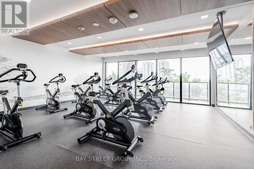 523 - 30 Shore Breeze Drive, Toronto (Mimico), ON - Indoor Photo Showing Gym Room