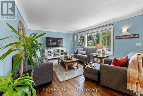 114 Marigold Street, Welland, ON - Indoor Photo Showing Living Room