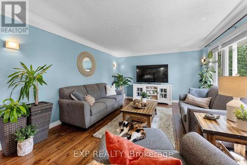 114 Marigold Street, Welland, ON - Indoor Photo Showing Living Room