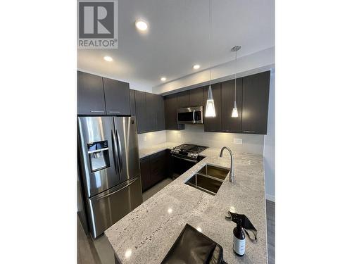 102 2356 Welcher Avenue, Port Coquitlam, BC - Indoor Photo Showing Kitchen With Stainless Steel Kitchen With Upgraded Kitchen