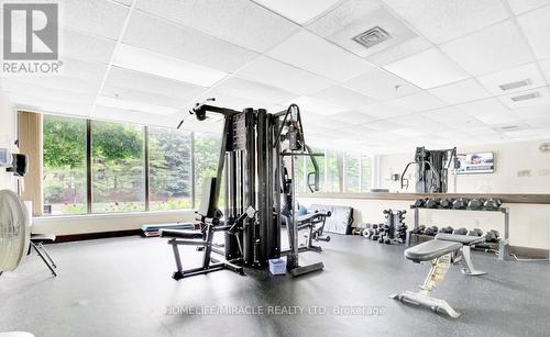 210 - 22 Hanover Road, Brampton (Queen Street Corridor), ON - Indoor Photo Showing Gym Room