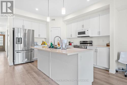 353 Buckthorn Drive W, Kingston, ON - Indoor Photo Showing Kitchen With Upgraded Kitchen