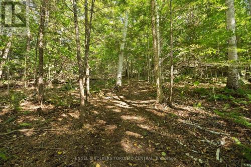 13 Hickory Crescent, Seguin, ON - Outdoor With View