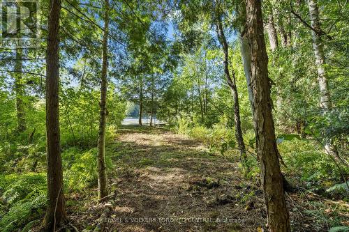 13 Hickory Crescent, Seguin, ON - Outdoor With View