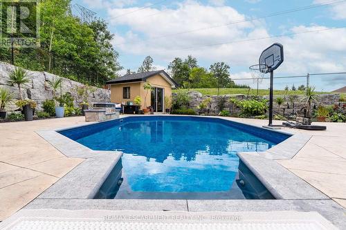 240 Cloverleaf Drive, Hamilton, ON - Outdoor With In Ground Pool With Backyard