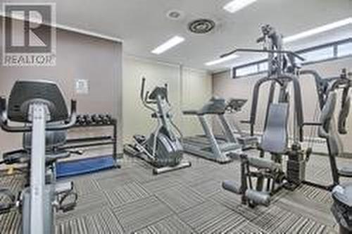 408 - 260 Seneca Hill Drive, Toronto (Don Valley Village), ON - Indoor Photo Showing Gym Room