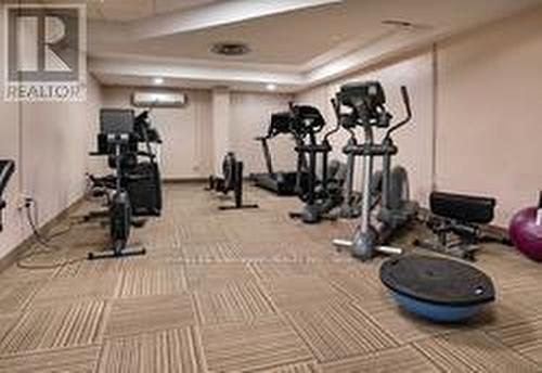 408 - 260 Seneca Hill Drive, Toronto (Don Valley Village), ON - Indoor Photo Showing Gym Room