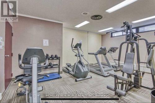 408 - 260 Seneca Hill Drive, Toronto (Don Valley Village), ON - Indoor Photo Showing Gym Room