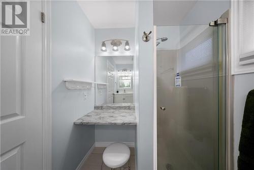 797 Tulane Avenue, Sudbury, ON - Indoor Photo Showing Bathroom