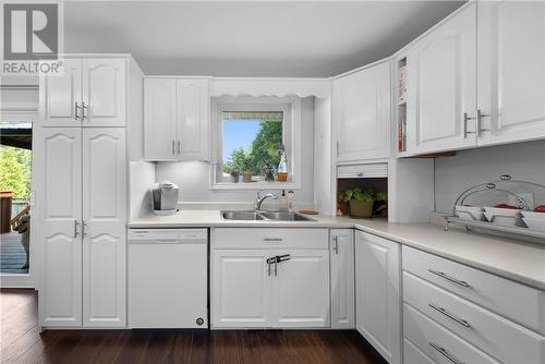 797 Tulane Avenue, Sudbury, ON - Indoor Photo Showing Kitchen With Double Sink