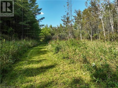 6806 21 Highway, South Bruce Peninsula, ON - Outdoor With View