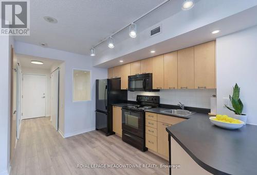 503 - 75 Dalhousie Street, Toronto (Church-Yonge Corridor), ON - Indoor Photo Showing Kitchen