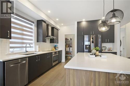 206 Osterley Way, Stittsville, ON - Indoor Photo Showing Kitchen With Upgraded Kitchen