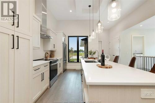 674 Lily Mac Boulevard, Windsor, ON - Indoor Photo Showing Kitchen With Upgraded Kitchen