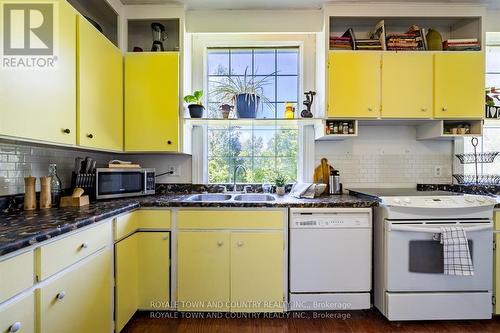 491 Portage Road, Kawartha Lakes (Kirkfield), ON - Indoor Photo Showing Kitchen With Double Sink