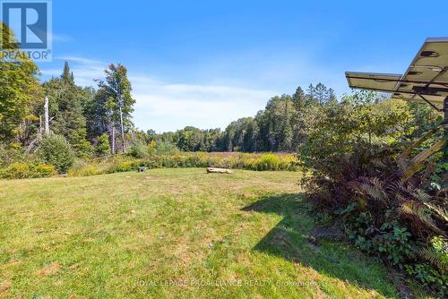 1156 St. Ola Road, Limerick, ON - Outdoor With View