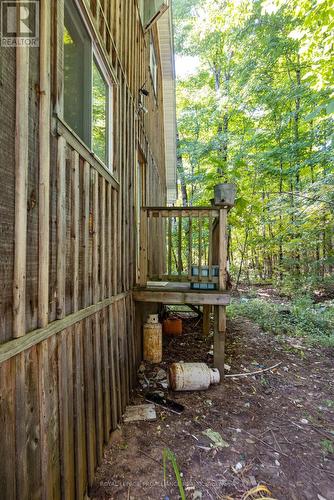 1156 St. Ola Road, Limerick, ON -  Photo Showing Other Room