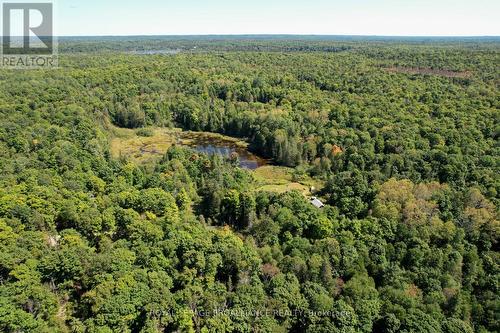 1156 St. Ola Road, Limerick, ON - Outdoor With View