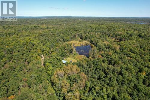 1156 St. Ola Road, Limerick, ON - Outdoor With View