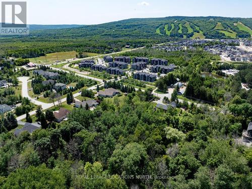 4 Laurel Boulevard, Collingwood, ON - Outdoor With View