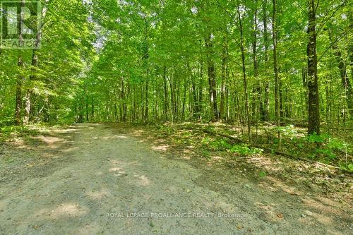 1083 Lindey Lane, North Frontenac, ON 