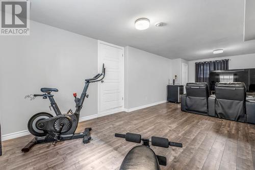 9 Glen Abbey Street, St. John'S, NL - Indoor Photo Showing Gym Room