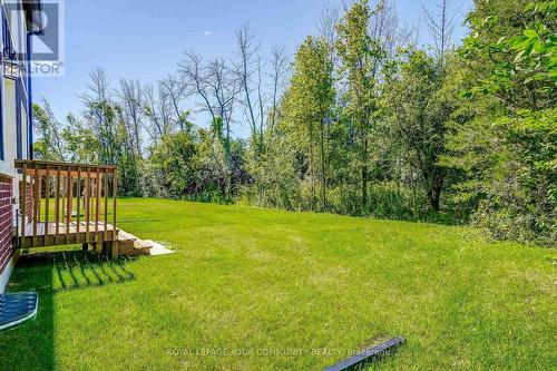 52 Sunset Beach Road, Georgina, ON - Outdoor