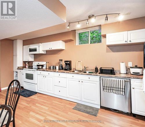 116 Winchester Terrace, Barrie (Innis-Shore), ON - Indoor Photo Showing Kitchen With Double Sink