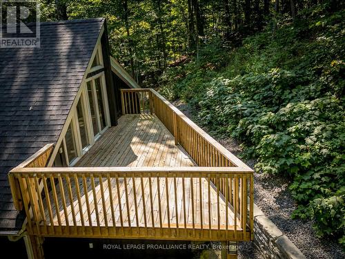 4 Booth Avenue, Kingston, ON - Outdoor With Deck Patio Veranda