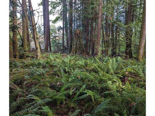 Lot F Craven Cres, Mill Bay, BC 