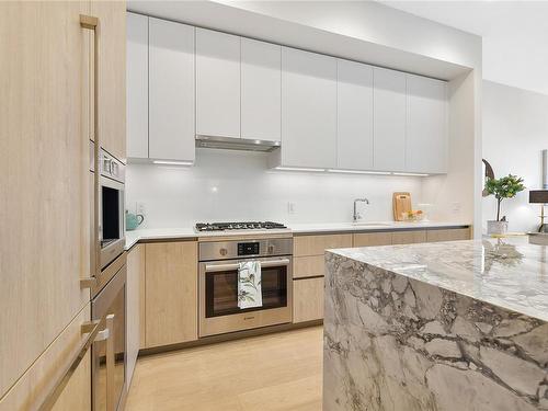 304-888 Government St, Victoria, BC - Indoor Photo Showing Kitchen With Upgraded Kitchen