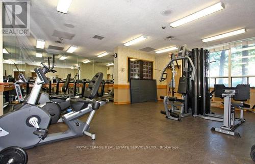 203 - 205 Wynford Drive, Toronto (Flemingdon Park), ON - Indoor Photo Showing Gym Room